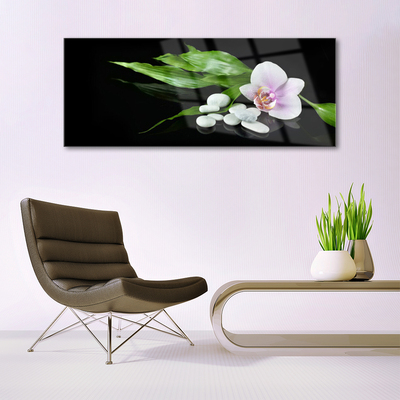akrylový obraz Květ Kameny Listí