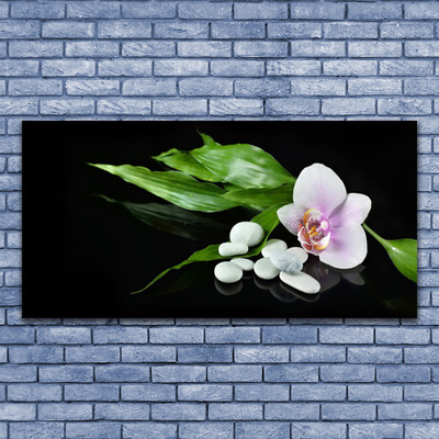 akrylový obraz Květ Kameny Listí