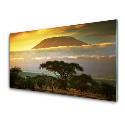 akrylový obraz Strom Hory Příroda