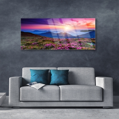 akrylový obraz Hora Louka Květiny Krajina