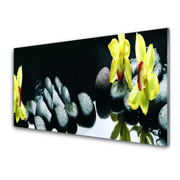 akrylový obraz Květ Kameny
