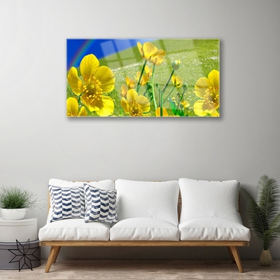 akrylový obraz Louka Květiny Duha Příroda