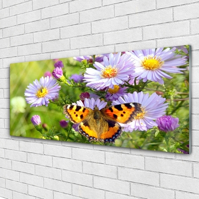 akrylový obraz Květiny Motýl Příroda