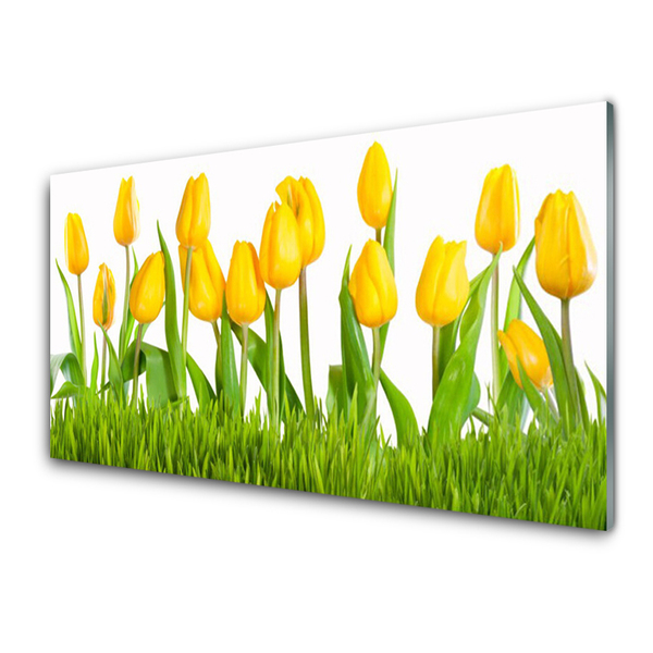 akrylový obraz Tulipány