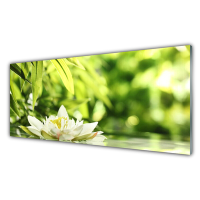 akrylový obraz Květ Listy
