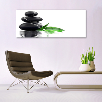 akrylový obraz Kameny Listy Voda Umění