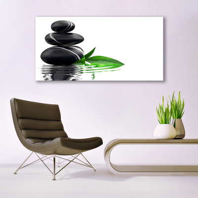 akrylový obraz Kameny Listy Voda Umění