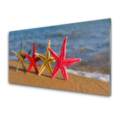 akrylový obraz Pláž Hvězdice Umění