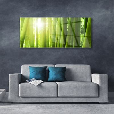 akrylový obraz Bambus Rostlina