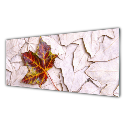 akrylový obraz Listy Rostlina