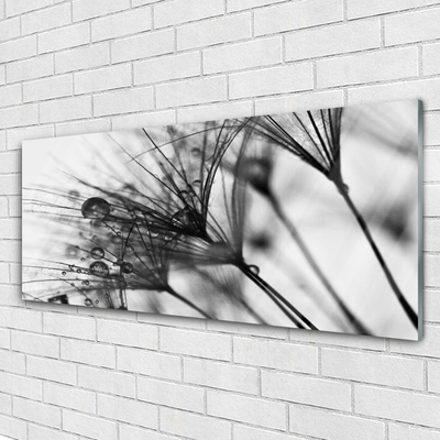 akrylový obraz Abstrakce Rostlina