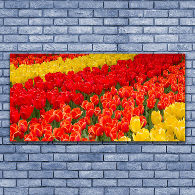 akrylový obraz Tulipány Květiny