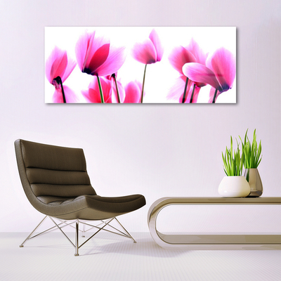 akrylový obraz Květíny Rostlina