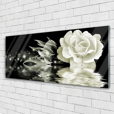akrylový obraz Růže Květ