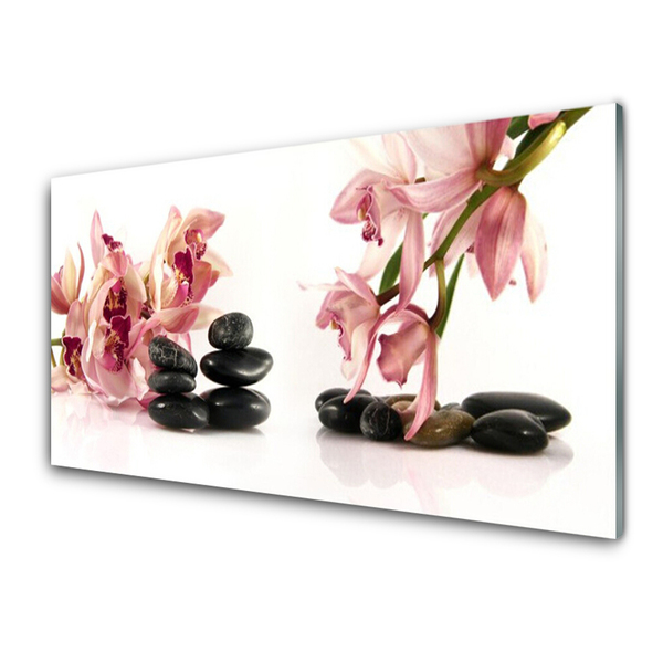 akrylový obraz Květ Kameny Umění