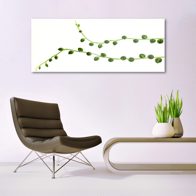 akrylový obraz Dekorativní Rostlina