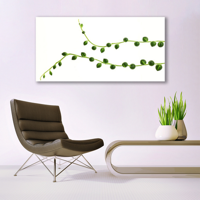 akrylový obraz Dekorativní Rostlina