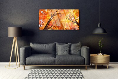 akrylový obraz Stromy Příroda