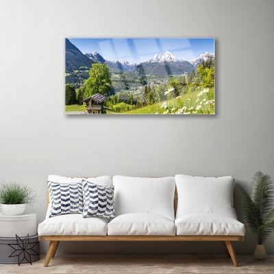 akrylový obraz Hora Pole Příroda