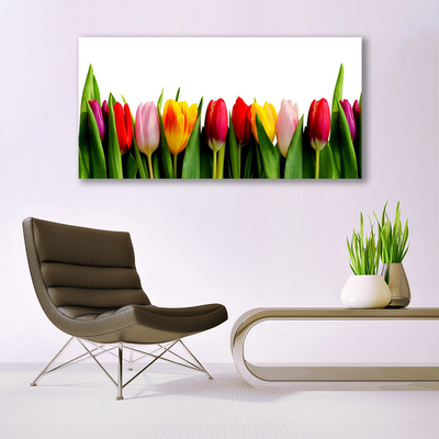 akrylový obraz Tulipány Rostlina