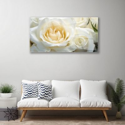akrylový obraz Růže Květiny