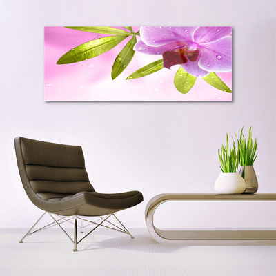akrylový obraz Květ Listy Rostlina