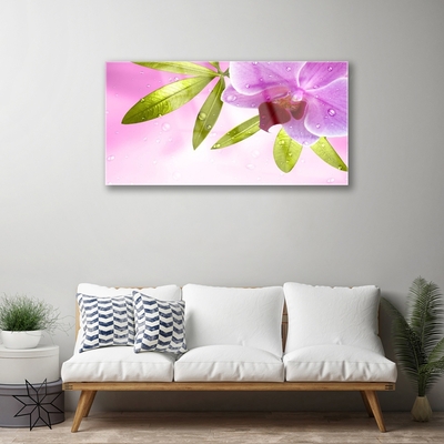 akrylový obraz Květ Listy Rostlina