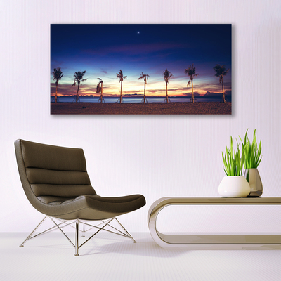 akrylový obraz Palma Strom Moře Krajina