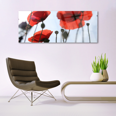 akrylový obraz Máky Rostlina