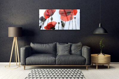 akrylový obraz Máky Rostlina