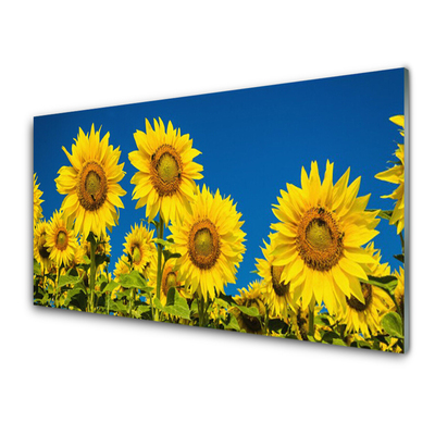 akrylový obraz Slunečníce Rostlina