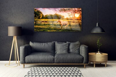 akrylový obraz Kůň Louka Zvířata