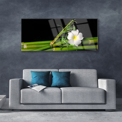 akrylový obraz Bambus Květ Rostlina