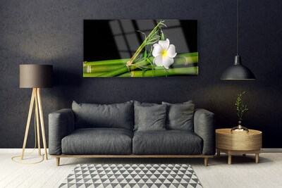 akrylový obraz Bambus Květ Rostlina