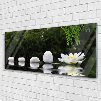akrylový obraz Kameny Květ Umění