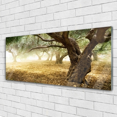 akrylový obraz Strom Tráva Příroda