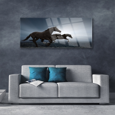 akrylový obraz Koně Zvířata
