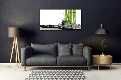 akrylový obraz Bambus Kameny Umění