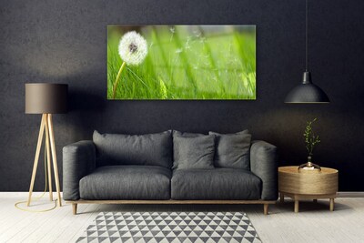 akrylový obraz Pampeliška Tráva Rostlina