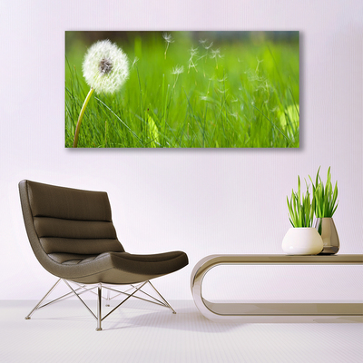 akrylový obraz Pampeliška Tráva Rostlina