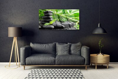 akrylový obraz Bambus Kameny Rostlina