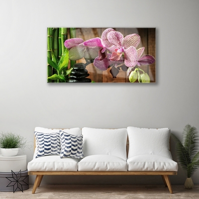 akrylový obraz Kvetiny Bambus Rostlina