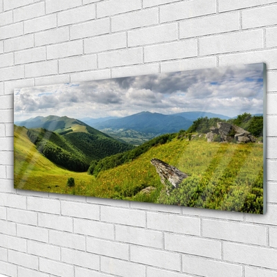 akrylový obraz Hora Louka Krajina