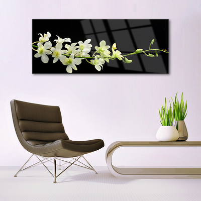 akrylový obraz Květiny Rostlina Příroda