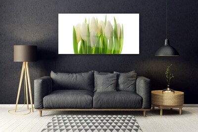 akrylový obraz Tulipány Rostlina Příroda