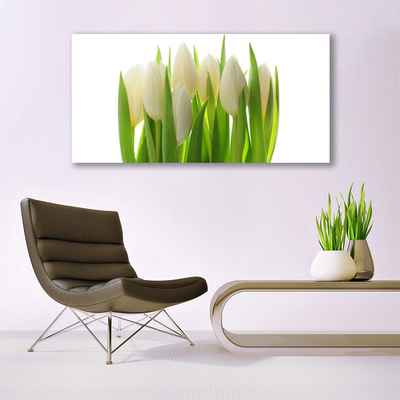 akrylový obraz Tulipány Rostlina Příroda