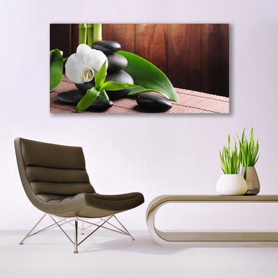 akrylový obraz Květ Kameny Rostlina