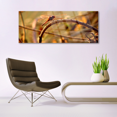 akrylový obraz Vážka Příroda Rostlina
