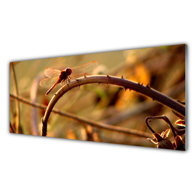 akrylový obraz Vážka Příroda Rostlina