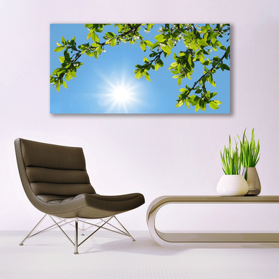 akrylový obraz Slunce Příroda